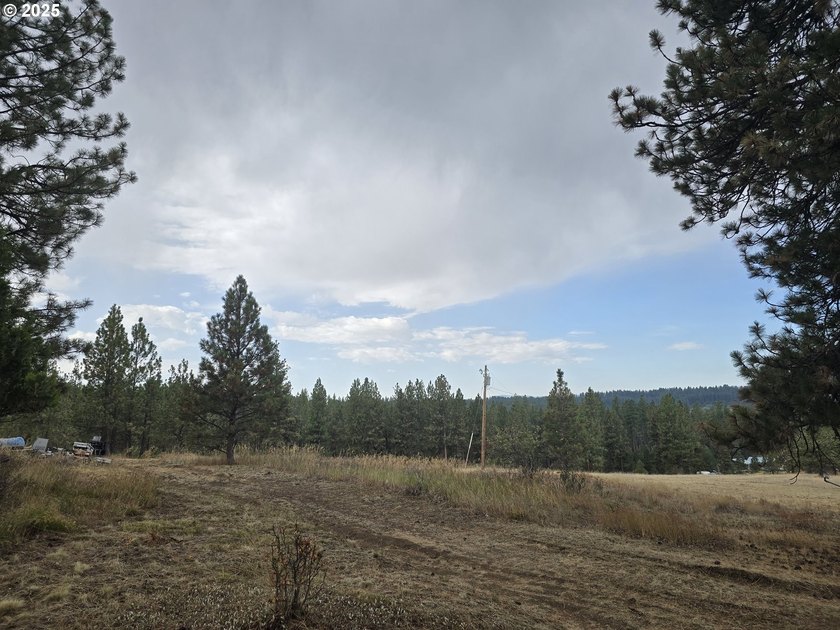 This is the Recreational property you have been waiting for!! - photo 8