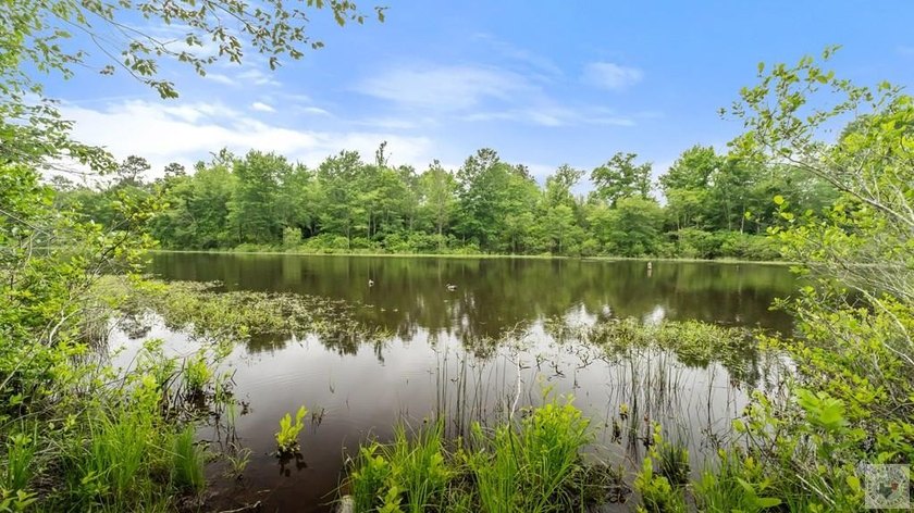 268 acres of pure East Texas wild - this is the legendary Richey - photo 10