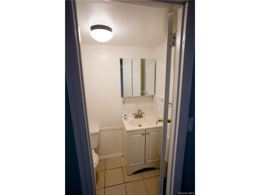 Welcome to Flatlands Ave! This beautifully renovated multifamily - photo 25