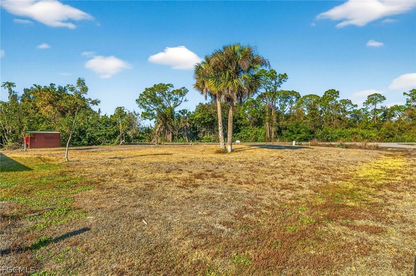 Live the Florida lifestyle you've been dreaming of with this - photo 3