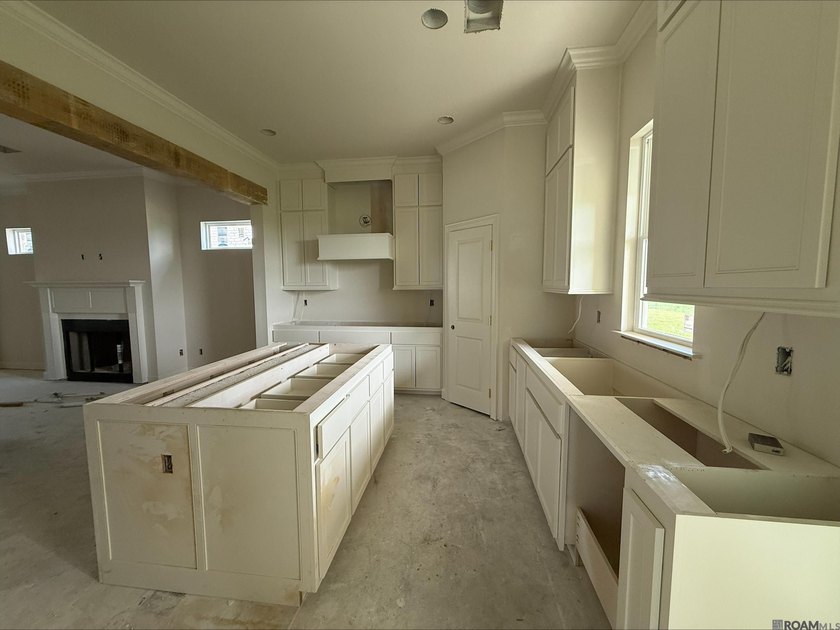 Charming *Duplessis* floor plan by Level Homes, underway in - photo 6