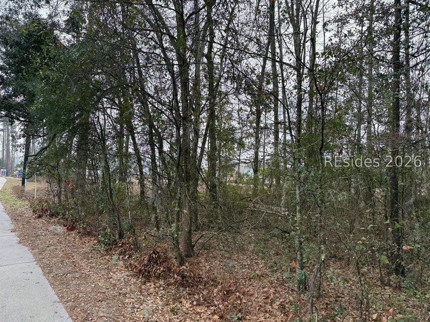 Two highway frontage lots being sold as a package. With 200 feet - photo 3