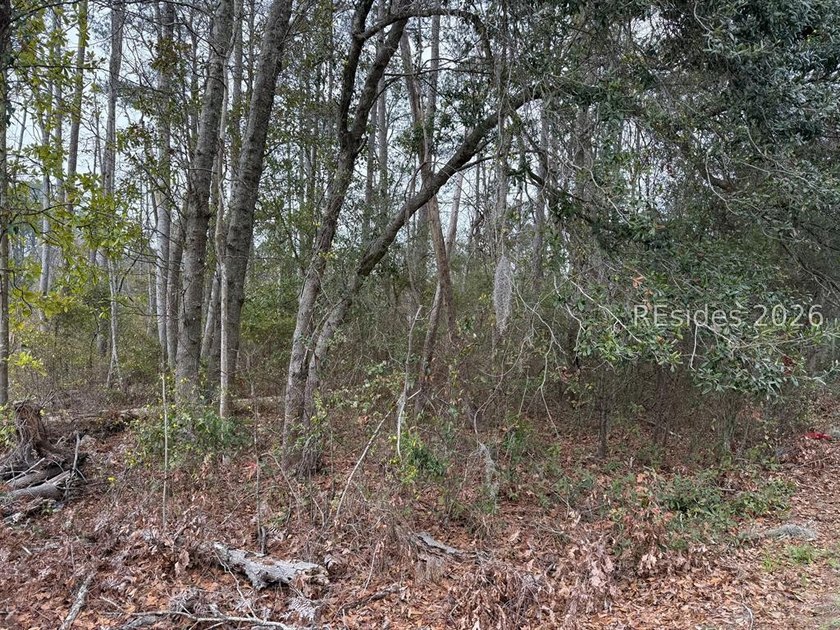 Two highway frontage lots being sold as a package. With 200 feet - photo 5