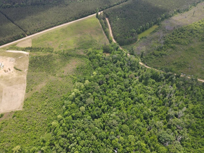 LOCATED IN RANKIN COUNTY, MS, THIS BEAUTIFUL 12.41+/- ACRE - photo 14