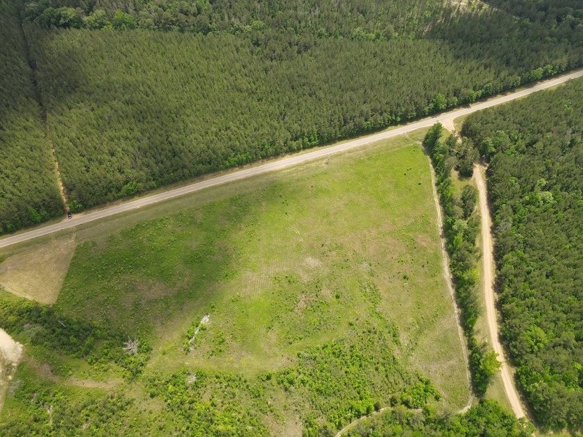 LOCATED IN RANKIN COUNTY, MS, THIS BEAUTIFUL 12.41+/- ACRE - photo 15