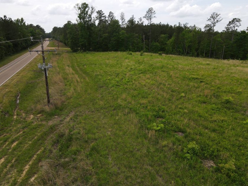 LOCATED IN RANKIN COUNTY, MS, THIS BEAUTIFUL 12.41+/- ACRE - photo 16