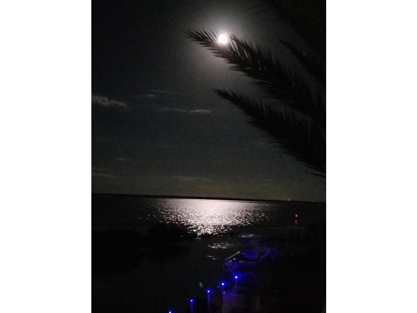 A beautifully kept home with amazing views of the Gulf, and easy - photo 50
