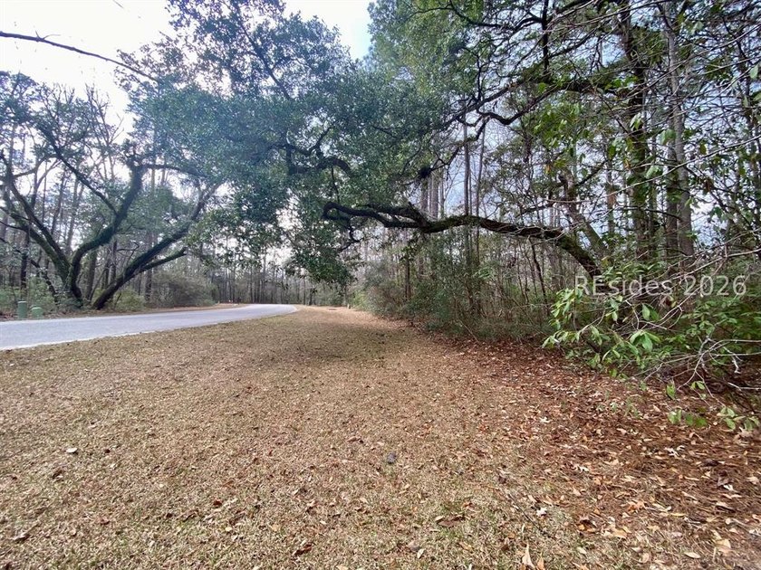 This 1.02 acre wooded lot has a rear lagoon view and is located - photo 5