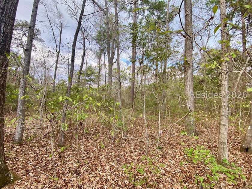This 1.02 acre wooded lot has a rear lagoon view and is located - photo 10