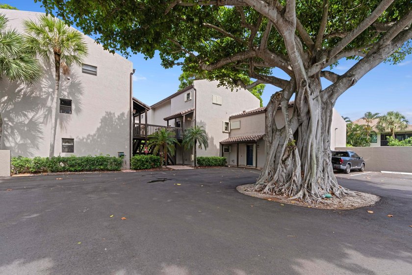 ABSOLUTELY GORGEOUS FIRST FLOOR CONDO | PRESTIGIOUS BANYAN - photo 32
