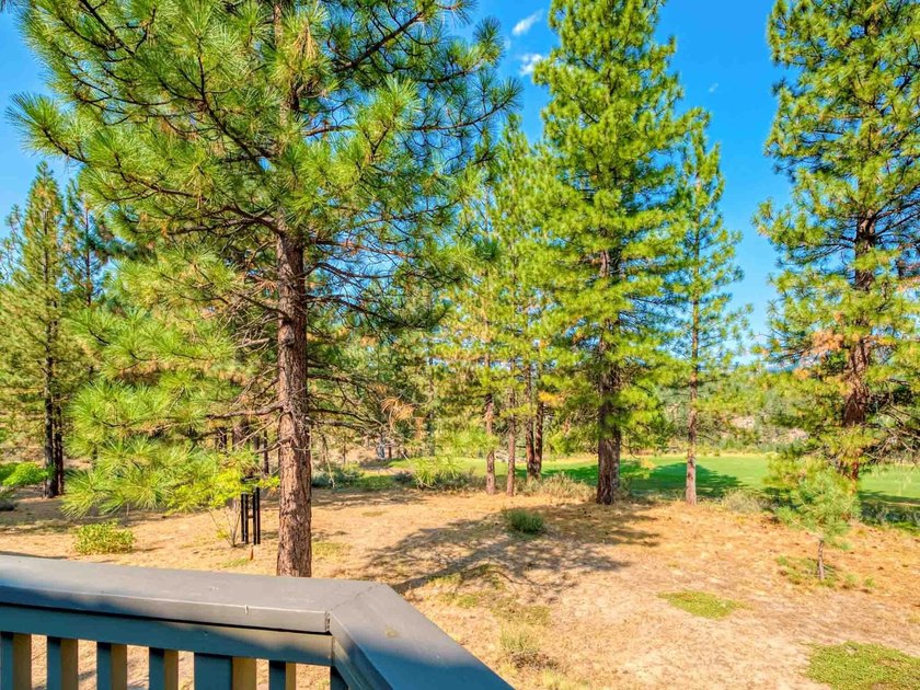 THIS 4 BEDROOM, SINGLE LEVEL impeccably maintained - photo 13