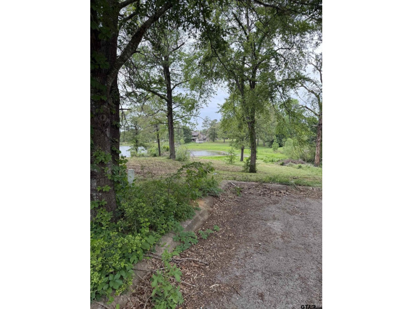 Two exceptional waterfront lots located in the highly - photo 7
