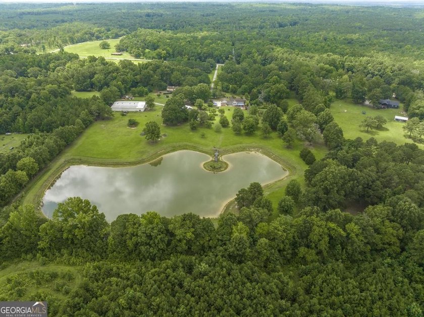 Escape to your own private masterpiece at 8457 Lower Thomaston - photo 4