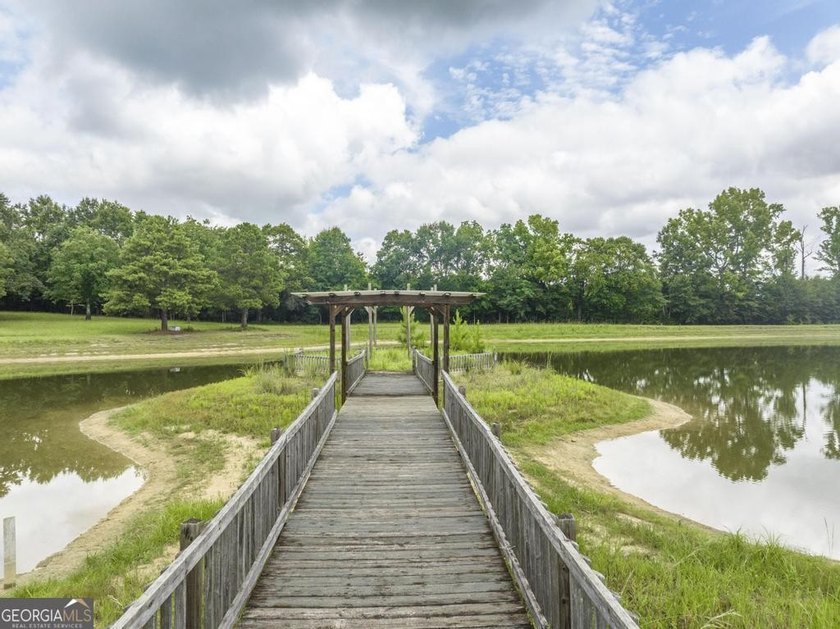 Escape to your own private masterpiece at 8457 Lower Thomaston - photo 6