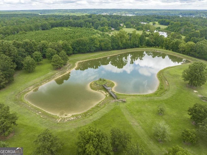 Escape to your own private masterpiece at 8457 Lower Thomaston - photo 7