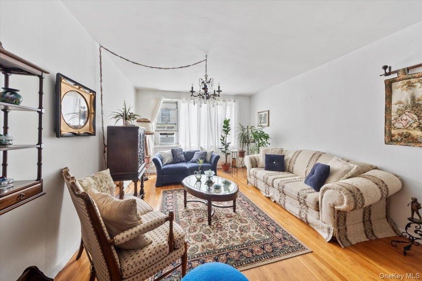 Woodlawn: MOTIVATED SELLER!! One bedroom co-op in immaculate - photo 9