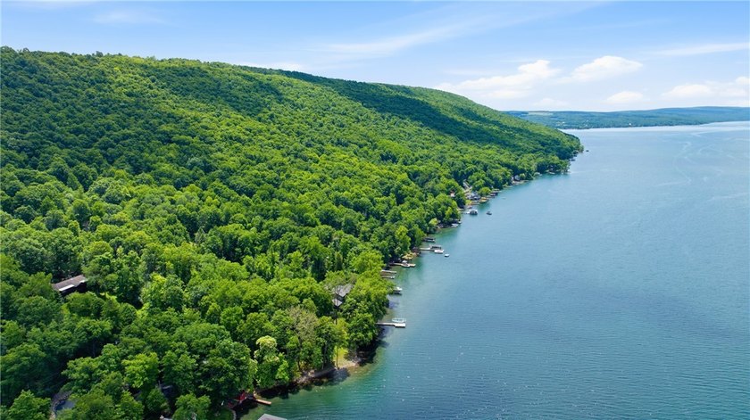 Quintessential West Bluff Drive on Keuka Lake. Nestled among the - photo 38