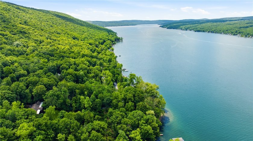 Quintessential West Bluff Drive on Keuka Lake. Nestled among the - photo 39