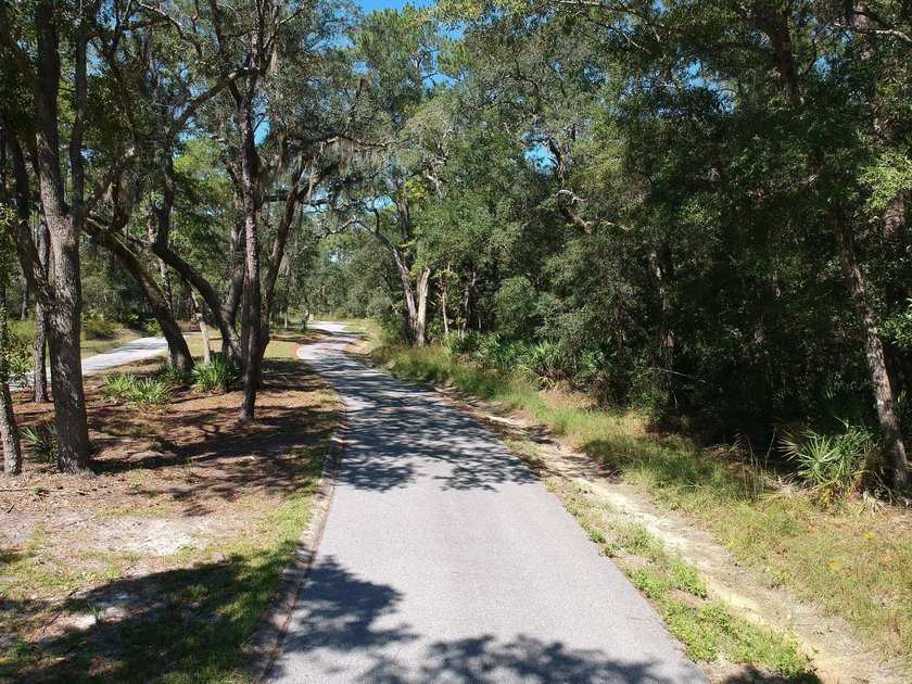 Build your family home or vacation get away, no HOA fees.. Newly - photo 4