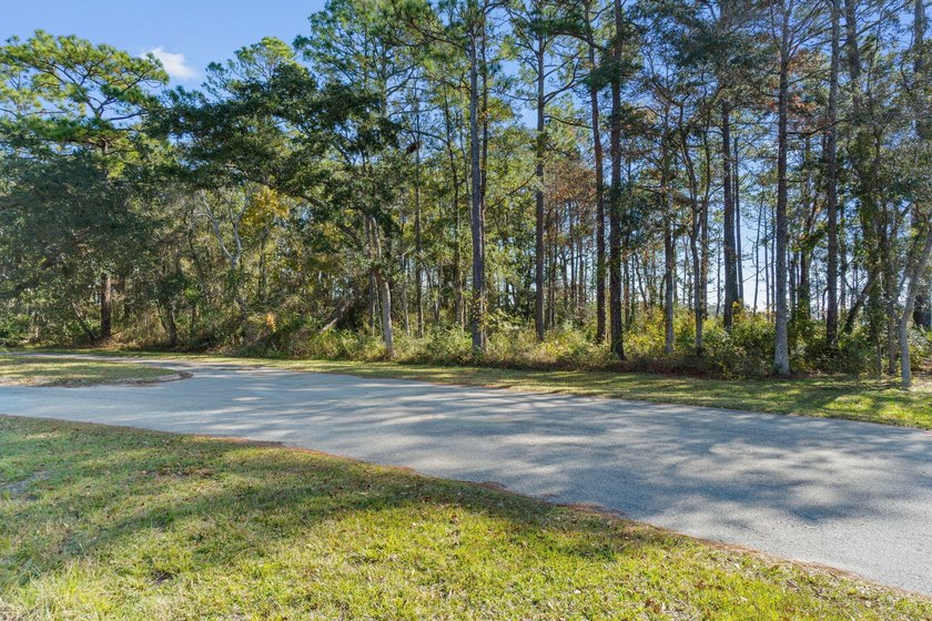 Build your family home or vacation get away, no HOA fees.. Newly - photo 5