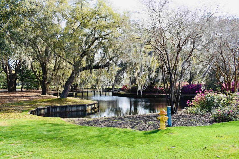 Welcome to 280 Oatland Lake Road in prestigious Willbrook - photo 54