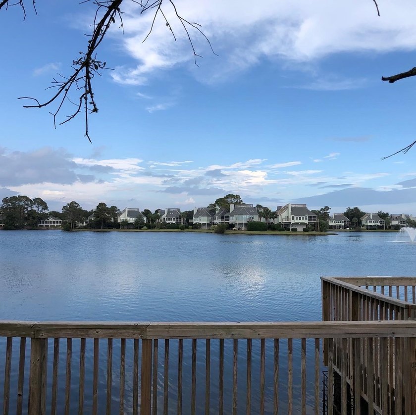 Welcome to 280 Oatland Lake Road in prestigious Willbrook - photo 60