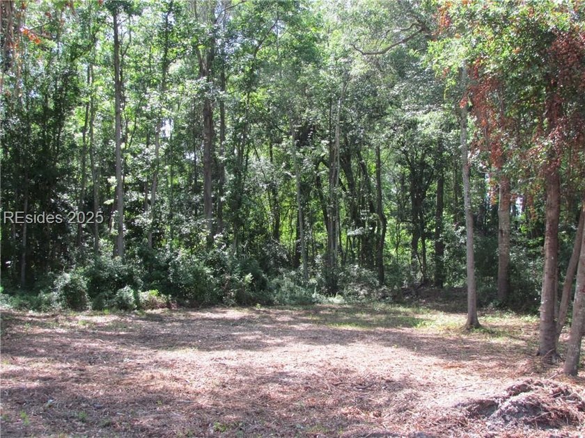 1.23 acres in the town of Port Royal with 495 ft of highway - photo 3
