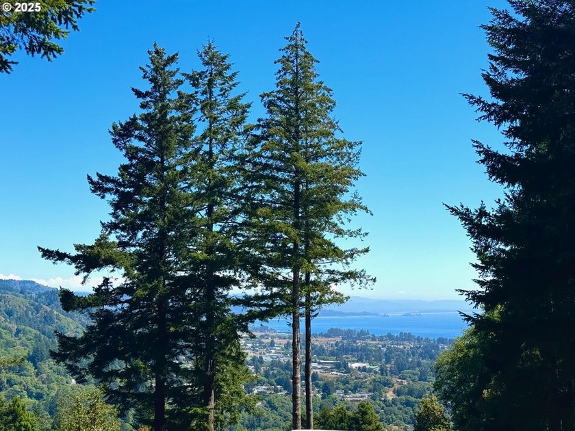 Oceanview Retreat on .73 AcresTucked into a peaceful, park-like - photo 36