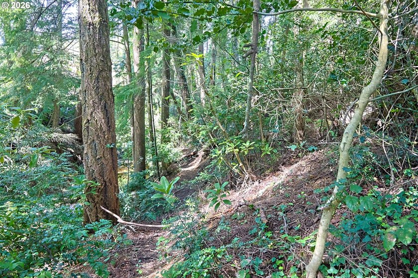 Spacious 110' x 80' wooded lot with peaceful creek frontage - photo 12