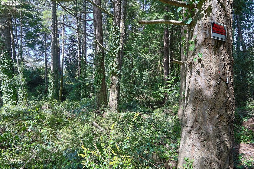 Spacious 110' x 80' wooded lot with peaceful creek frontage - photo 13