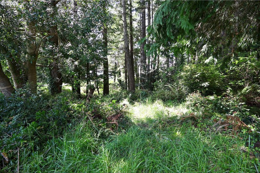 Spacious 110' x 80' wooded lot with peaceful creek frontage - photo 15
