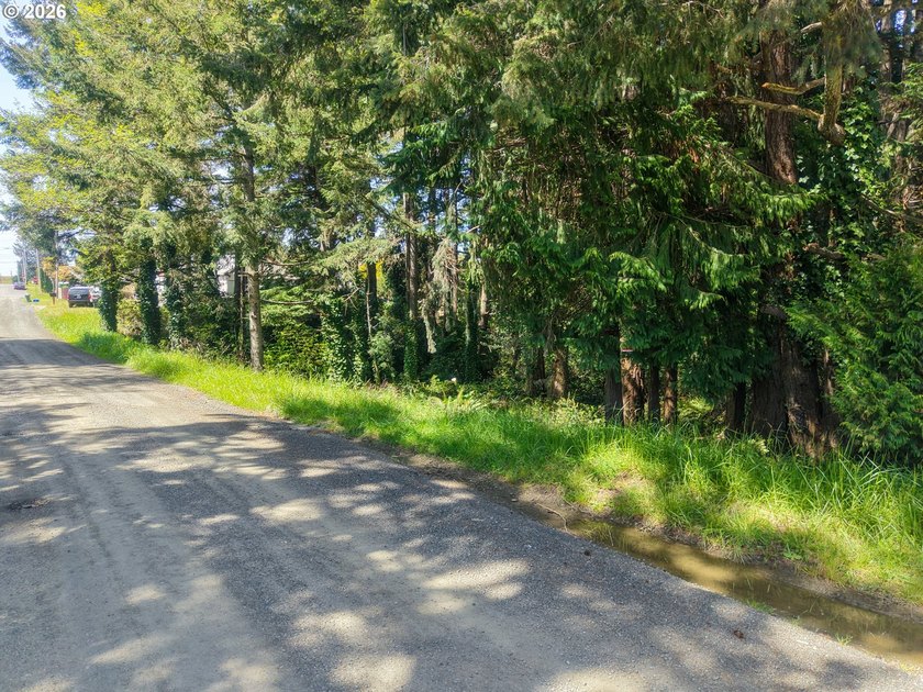 Spacious 110' x 80' wooded lot with peaceful creek frontage - photo 17