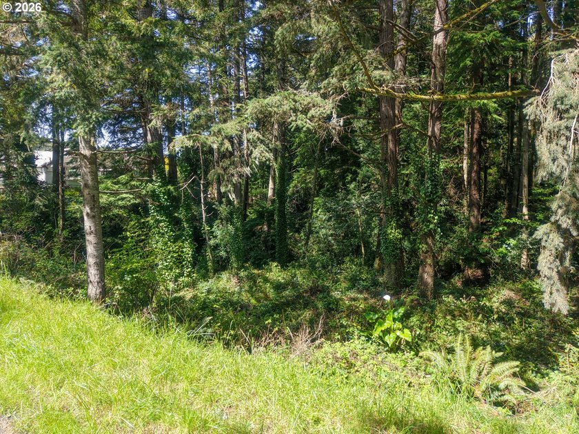 Spacious 110' x 80' wooded lot with peaceful creek frontage - photo 18