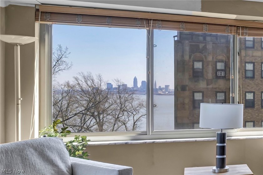 Major Price Improvement! Experience life above it all in Marine - photo 11