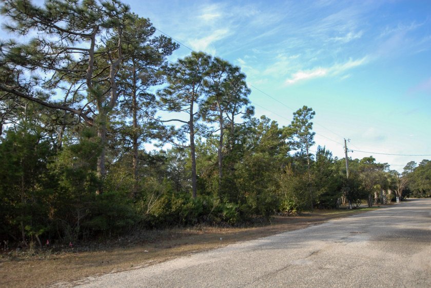 Nestled in a peaceful private cul-de-sac with only 18 parcels - photo 3