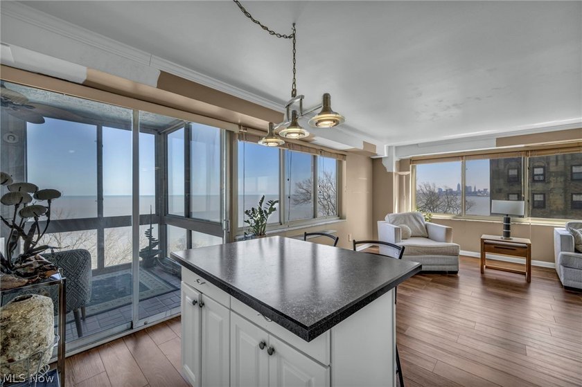 Major Price Improvement! Experience life above it all in Marine - photo 13