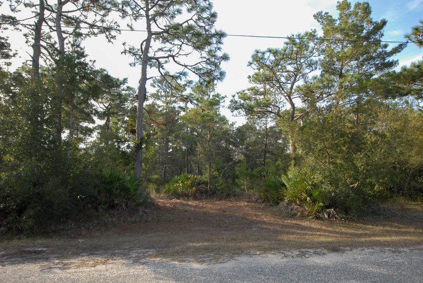 Nestled in a peaceful private cul-de-sac with only 18 parcels - photo 4