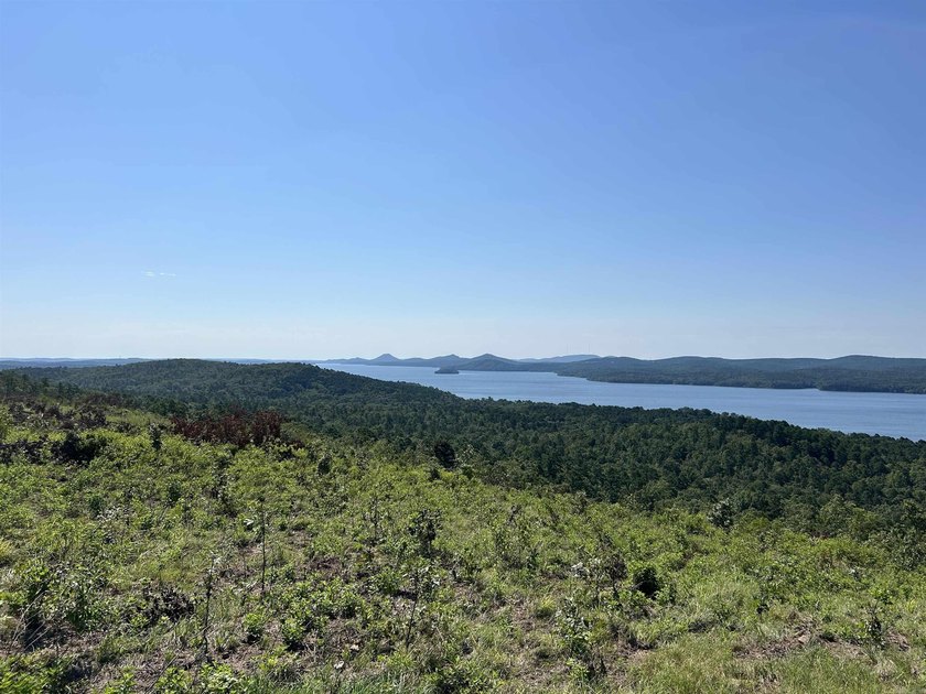 Approximately 40 acres with panoramic views of Lake Maumelle and - photo 5