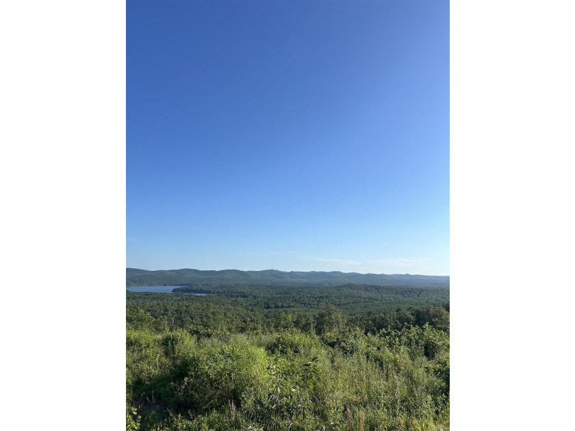 Approximately 40 acres with panoramic views of Lake Maumelle and - photo 10