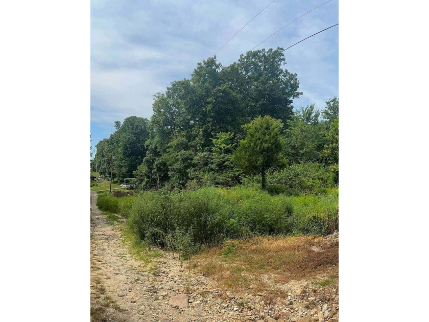 Build your lake home or manufactured here! Walking distance to - photo 2