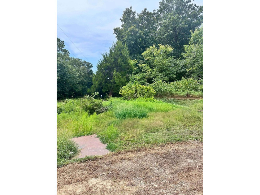 Build your lake home or manufactured here! Walking distance to - photo 3