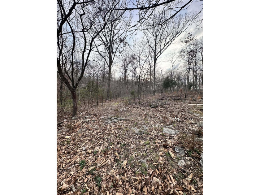 Build your lake home or manufactured here! Walking distance to - photo 5