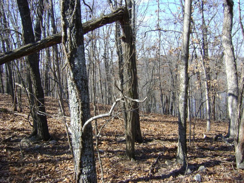 Diamond Lake lot with 224 feet of lake frontage, with a great - photo 9