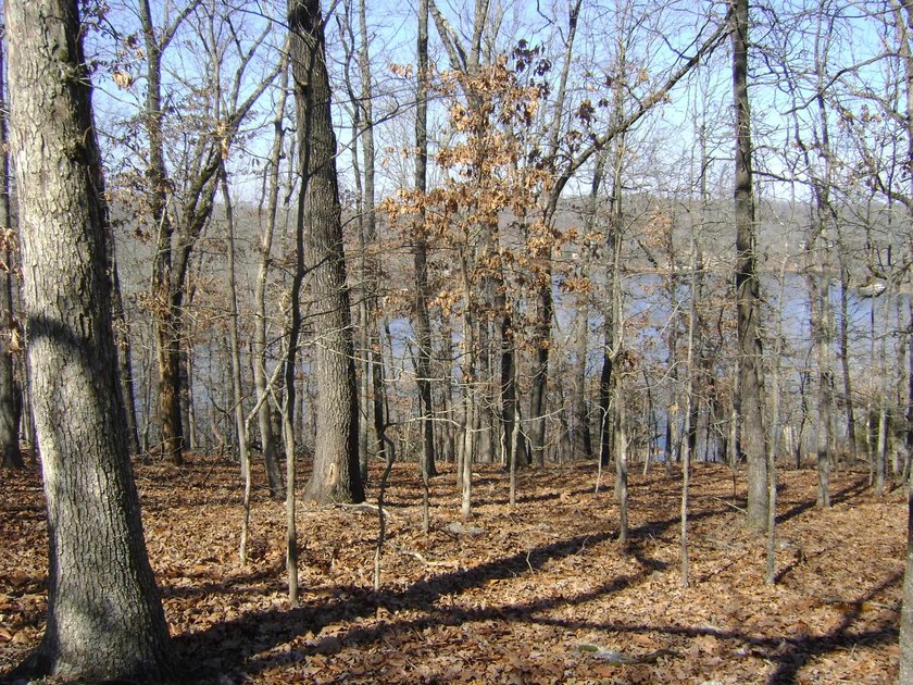Diamond Lake lot with 224 feet of lake frontage, with a great - photo 10