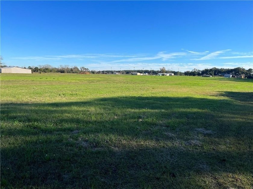 Wow! BRAND NEW SUBDIVISION: The Meadow at Fairhope. An - photo 6