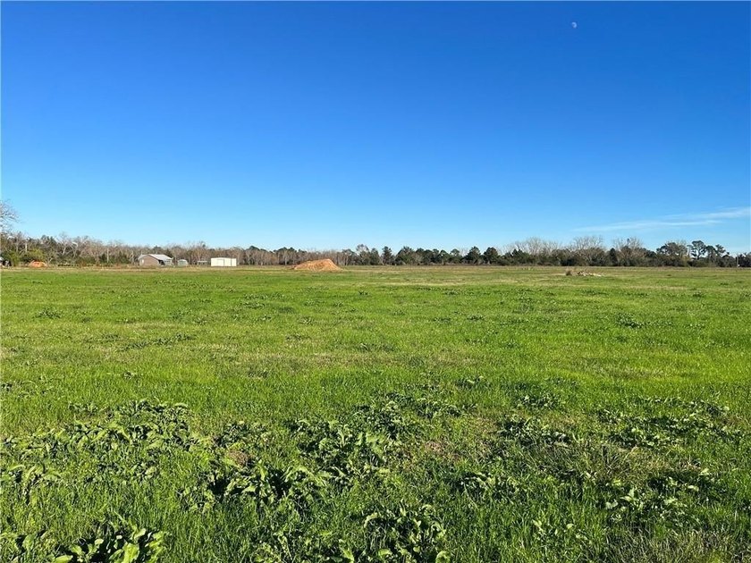 Wow! BRAND NEW SUBDIVISION: The Meadow at Fairhope. An - photo 7