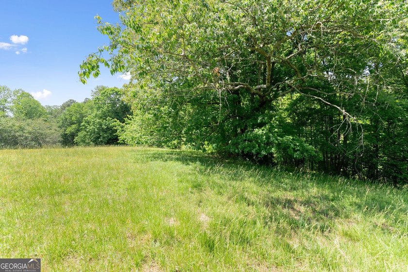 Exceptional opportunity to own a private North Georgia family - photo 33