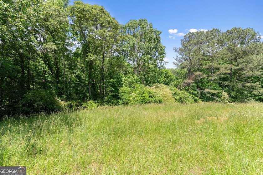 Exceptional opportunity to own a private North Georgia family - photo 34