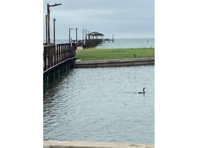Welcome to coastal living in beautiful Rockport, Texas! This - photo 41