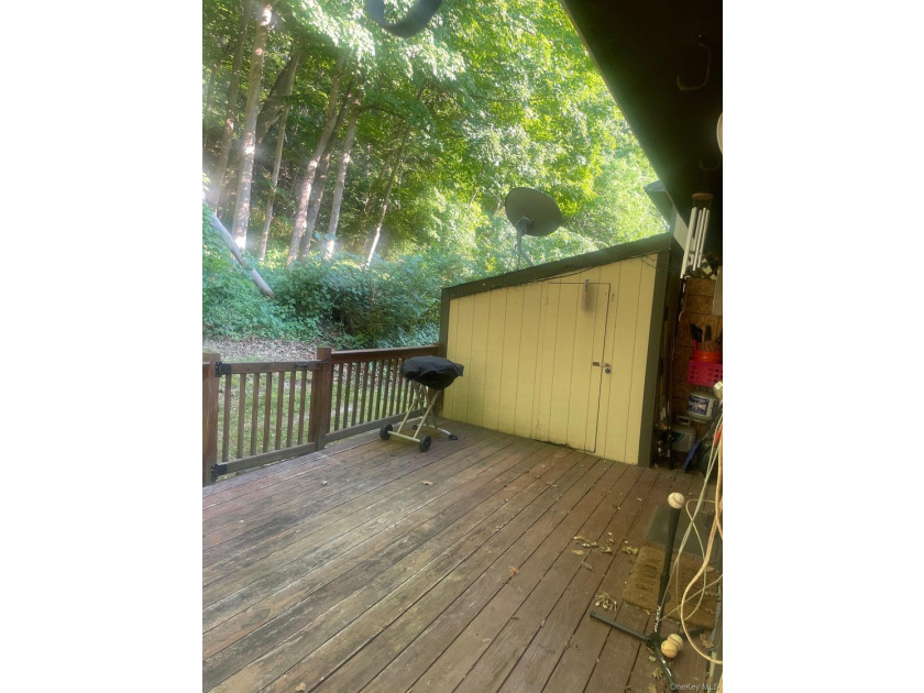 Beautiful Chelsea Cove End Unit with Wooded Privacy! Welcome - photo 6